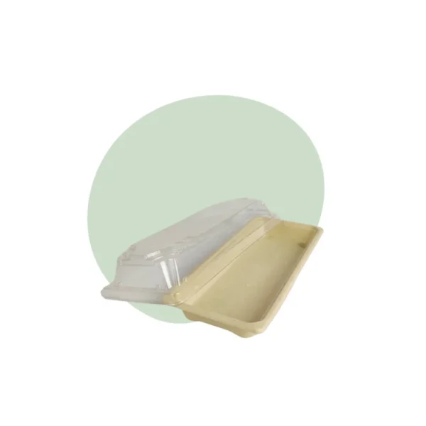 Bagasse Tray - Medium